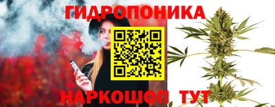 спиды Шебекино