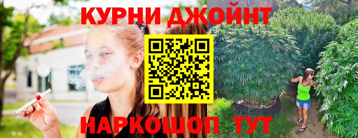 Бошки марихуана планчик  Вход с VPN  Люберцы  Шишки марихуана Amnesia  Канабис индика 